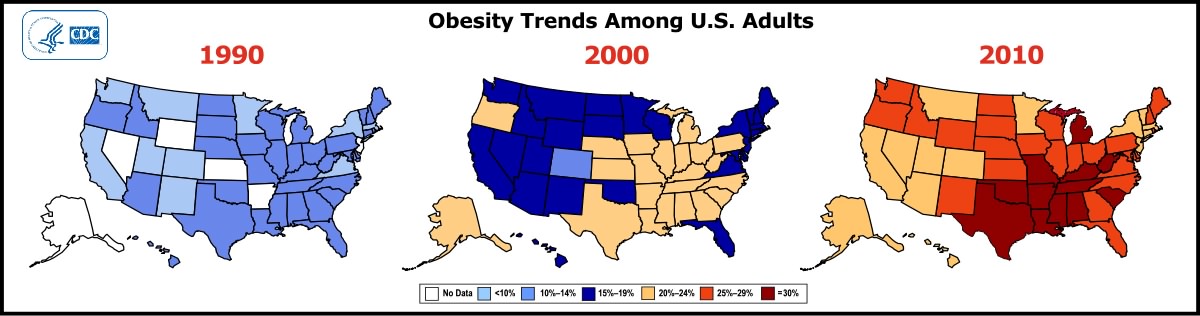 the problem of obesity in the united states the problem of obesity in the united states