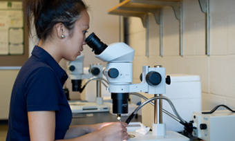 Researcher looks through a microscope