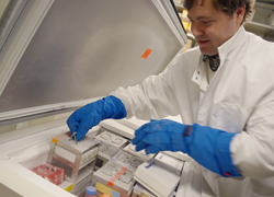 Dr. Olson removing samples from one of the LCBR freezers.