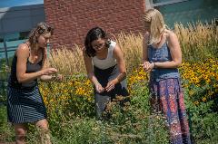 Integrative Health SIG Students Collecting Herbs