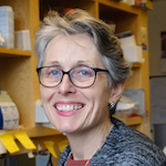 Anne Dixon Anne Dixon