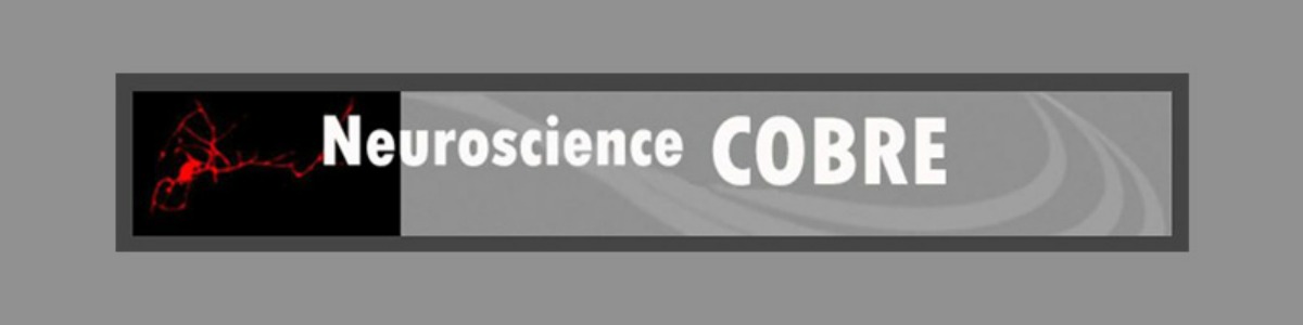 Banner Image reading "Neuroscience COBRE"