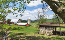 barn barn