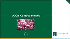 Campus Images Powerpoint Template Campus Images Powerpoint Template