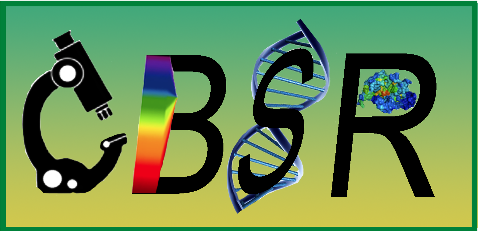 CBSR Logo