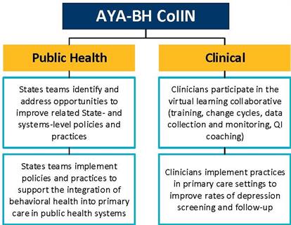 CoIIN Model Illustration of Adolescent and Young Adult Behavioral Health CoIIN showing public health and clinical arms