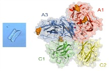 Enzymology