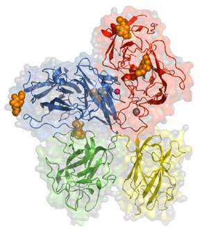 Enzymology_large