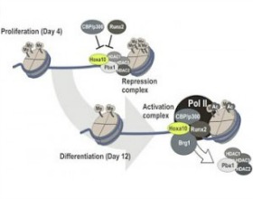 Genetic280-220