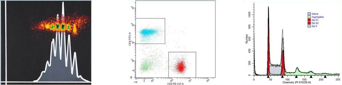 Banner image for Flow Cytometry