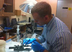 Dave Stockwell Performing Mouse Surgery