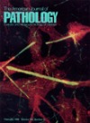 american journal of pathology cover american journal of pathology cover