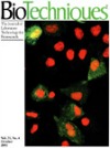 biotechniques journal cover biotechniques journal cover