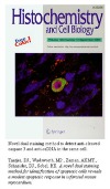histochemistry and cell biology cover histochemistry and cell biology cover
