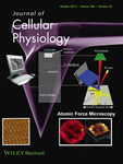 Journal of Cellular Physiology Cover Journal of Cellular Physiology Cover