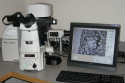 Image of Laser Capture Microdissector