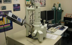 Scanning Electron Microscope