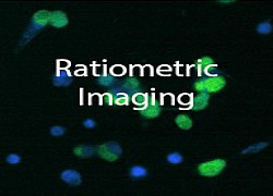 ratiometrictext250x180 ratiometrictext250x180
