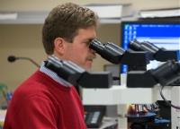 Researcher using microscope