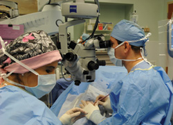 Cataract team performing surgery