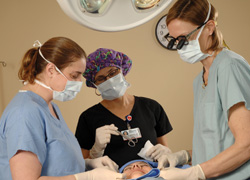 plastic_surgery_procedure plastic_surgery_procedure