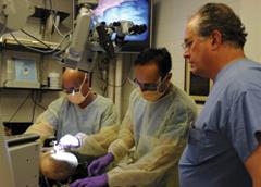 Physicians in the skull base lab