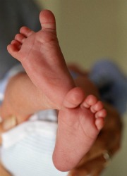 Infant feet