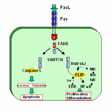 budd_lab1