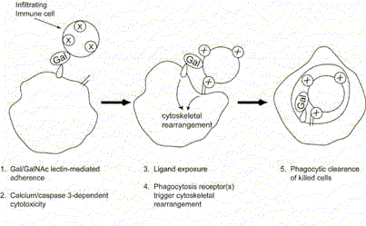 hustonlab1 hustonlab1