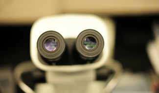 Microscope Optics