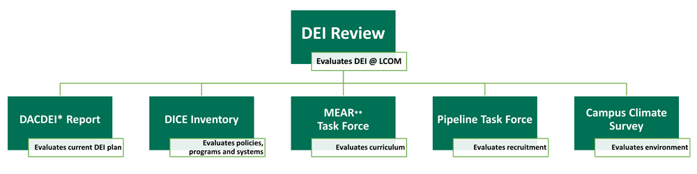 DEI Review Diagram