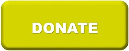 Donate Button