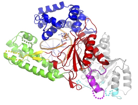 Doublie Lab