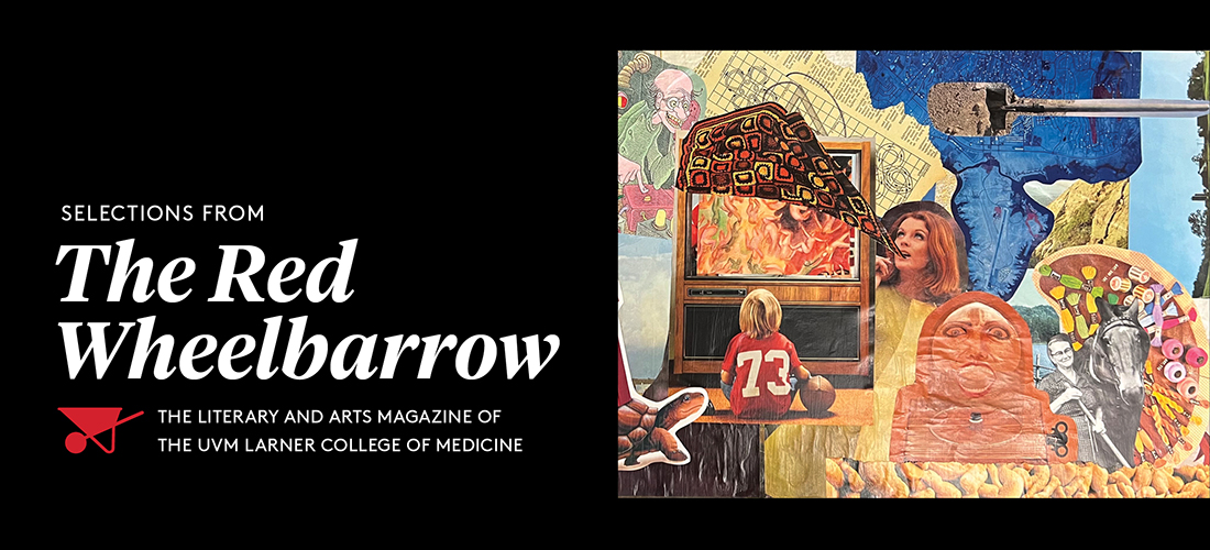 The Red Wheelbarrow cover image