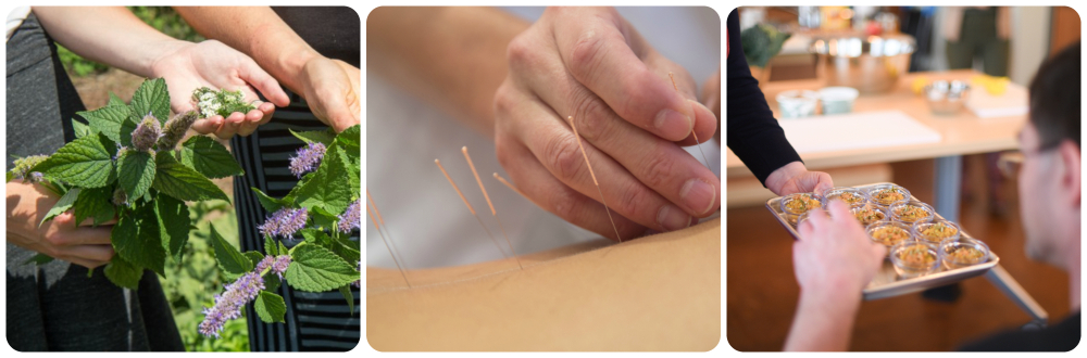 A collage of three photos showing fresh herbs, acupuncture needles being applied to a person's skin, and a person taking  nutritious food from a serving tray