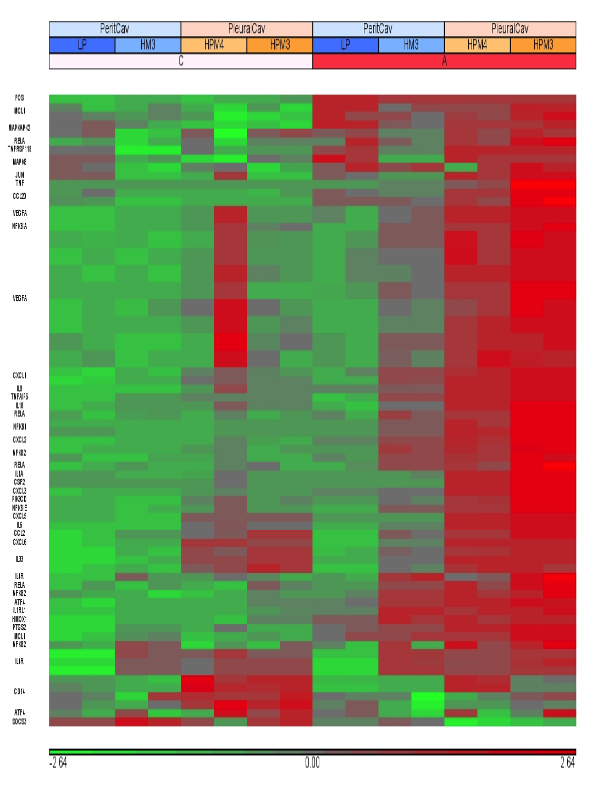 Gene Expression Heat Map Gene Expression Heat Map