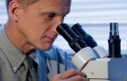 OBGYN Faculty using microscope OBGYN Faculty