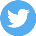 Twitter icon circle