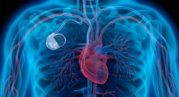 heart drawing from JAMA Cardiology research journal