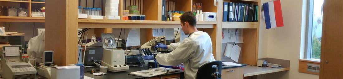 an image of a male researcher working at the lab bench