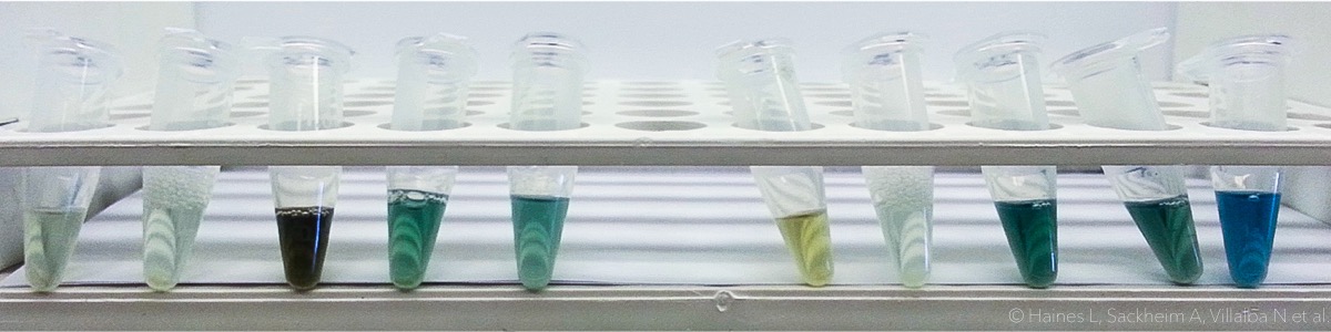 Blue and Green Liquids in Microcentrifuge Tubes