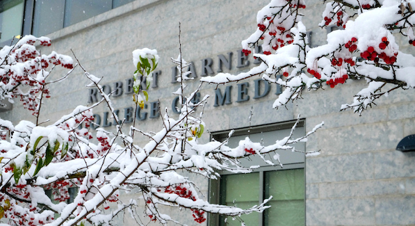 LCOM in Winter LCOM in Winter