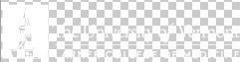 LCoM Logo White photo