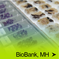 BioBank, MH