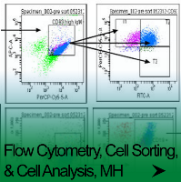 Flow Cytometry, Cell Sorting, & Cell Analysis, MH