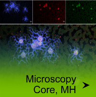 Microscopy Core, MH