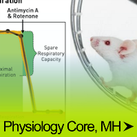 Physiology Core, MH