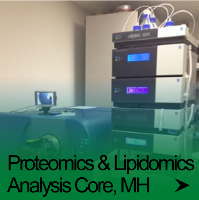 Proteomics & Lipidomics Analysis Core, MH