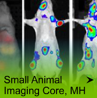 Small Animal Imaging Core, MH
