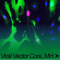 Viral Vector Core, MH